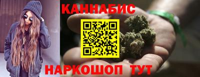 a pvp Камышлов