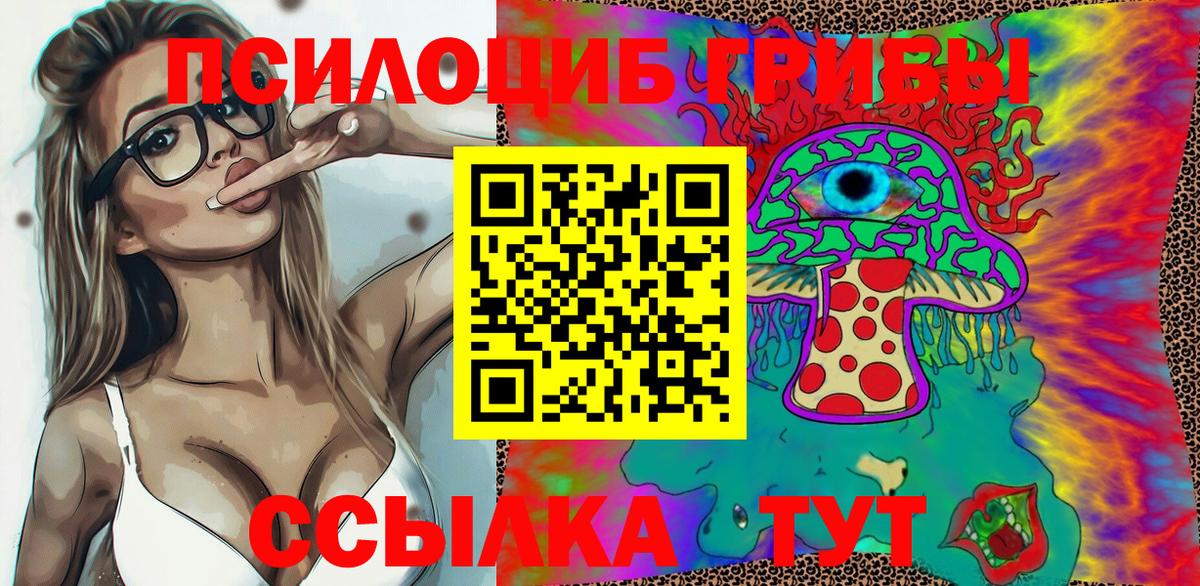 Псилоцибиновые грибы прущие грибы Георгиевск