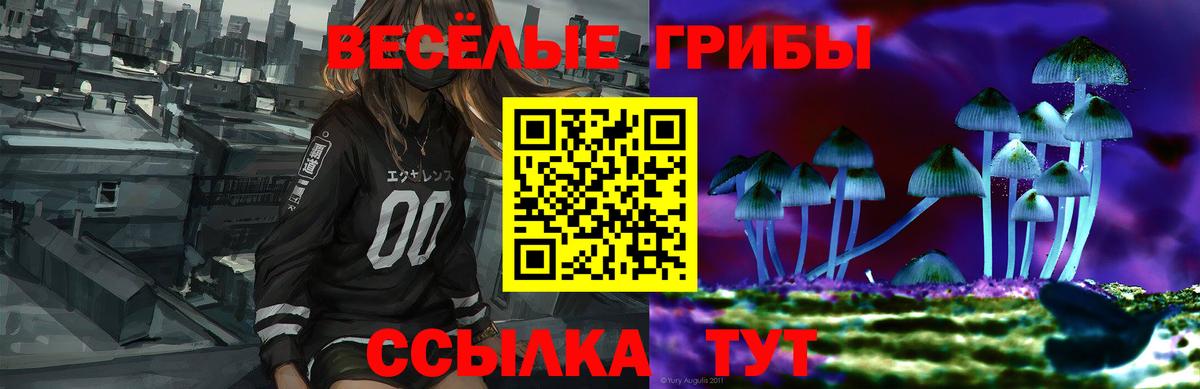 Псилоцибиновые грибы GOLDEN TEACHER  Галлюциногенные грибы Psilocybine cubensis  Вход с VPN  Георгиевск 